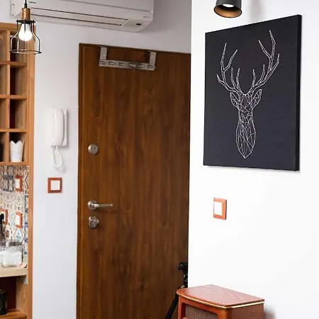 公寓 Sarego Premium Apartament 克拉科夫